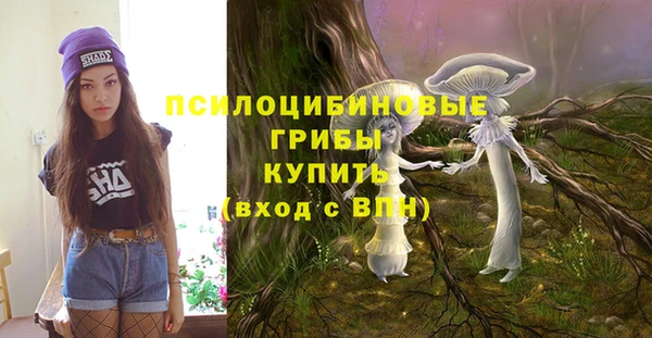 меф Алексин