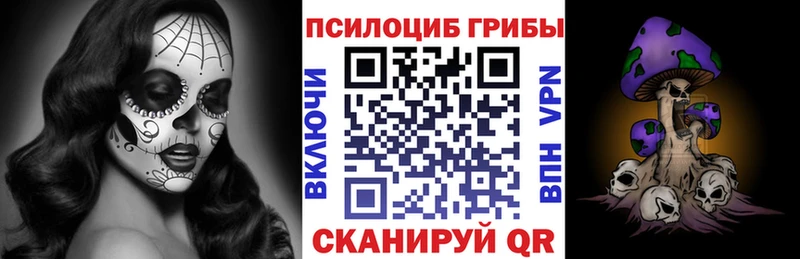 Купить закладки  Люберцы  Галлюциногенные грибы Magic Shrooms 